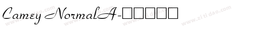 Camey NormalA字体转换